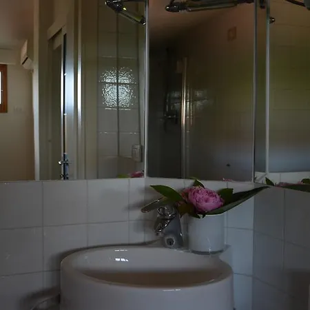 Apartman Viola